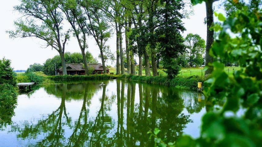 Hotel&Spa Dwor Droblin Leśna Podlaska Kültér fotó